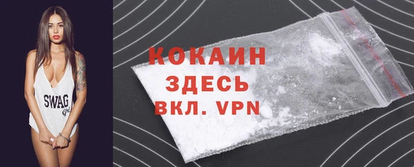гашик Арсеньев
