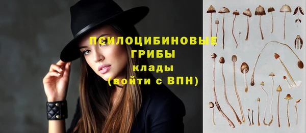 гашик Арсеньев