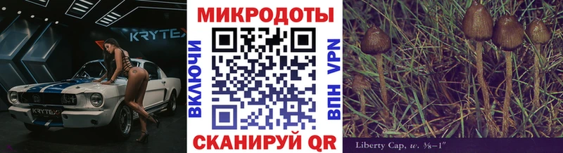 Псилоцибиновые грибы мухоморы  Купить  Можайск 